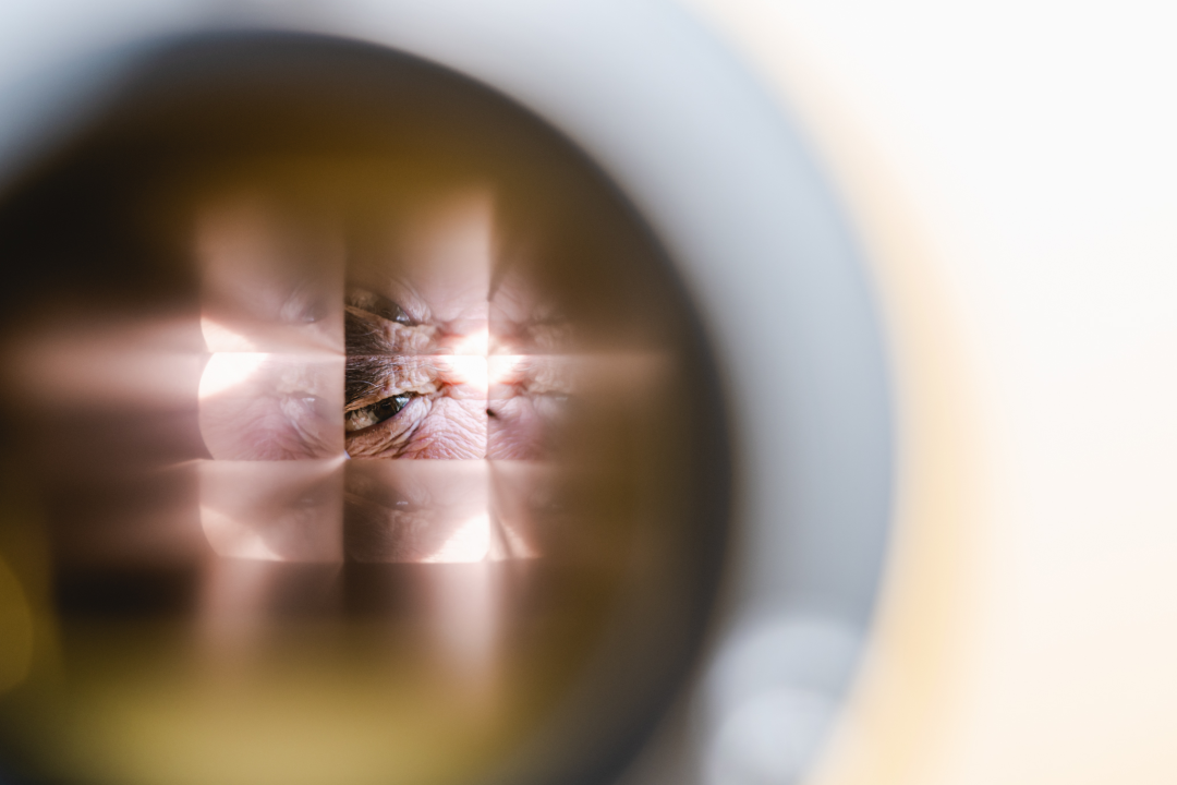 Postavljena replika kamere koja je prije 123 godine s rive snimila prve filmske kadrove ovog dijela Europe