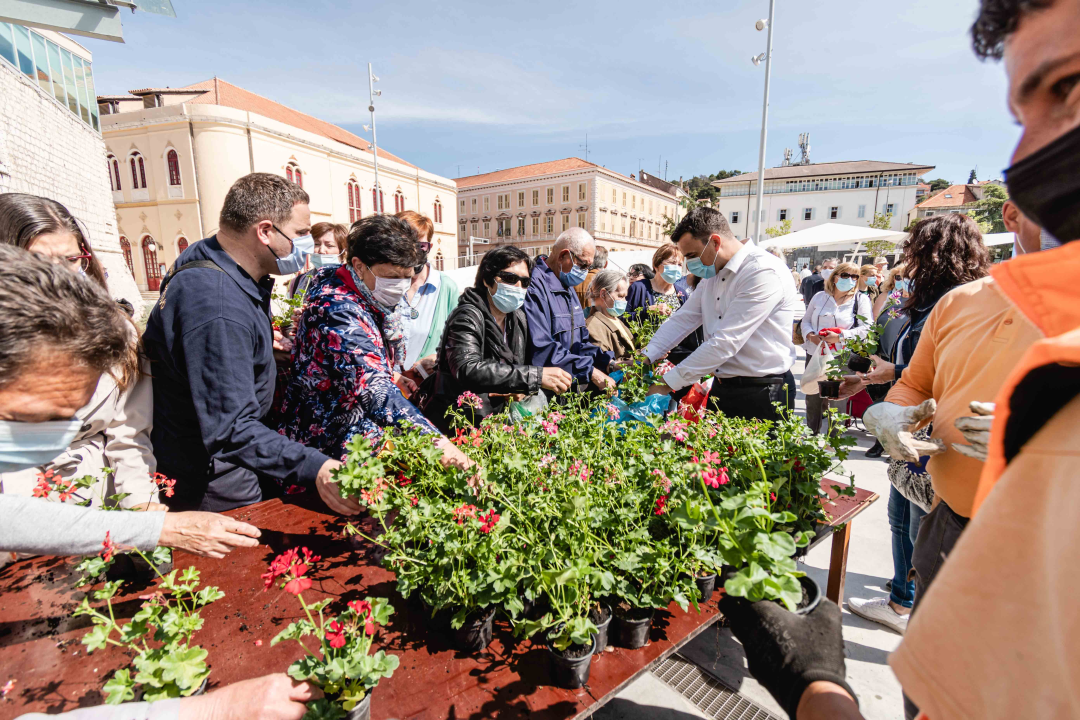 Umirovljenički stampedo za sadnice đirana na Poljani: ‘Gužva je veća za cvijeće nego za cijepljenje’