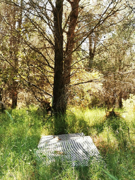 Sramotna količina smeća uklonjena iz prirode kod Jadrtovca, čistilo tridesetak ljudi: Nova akcija već u nedjelju