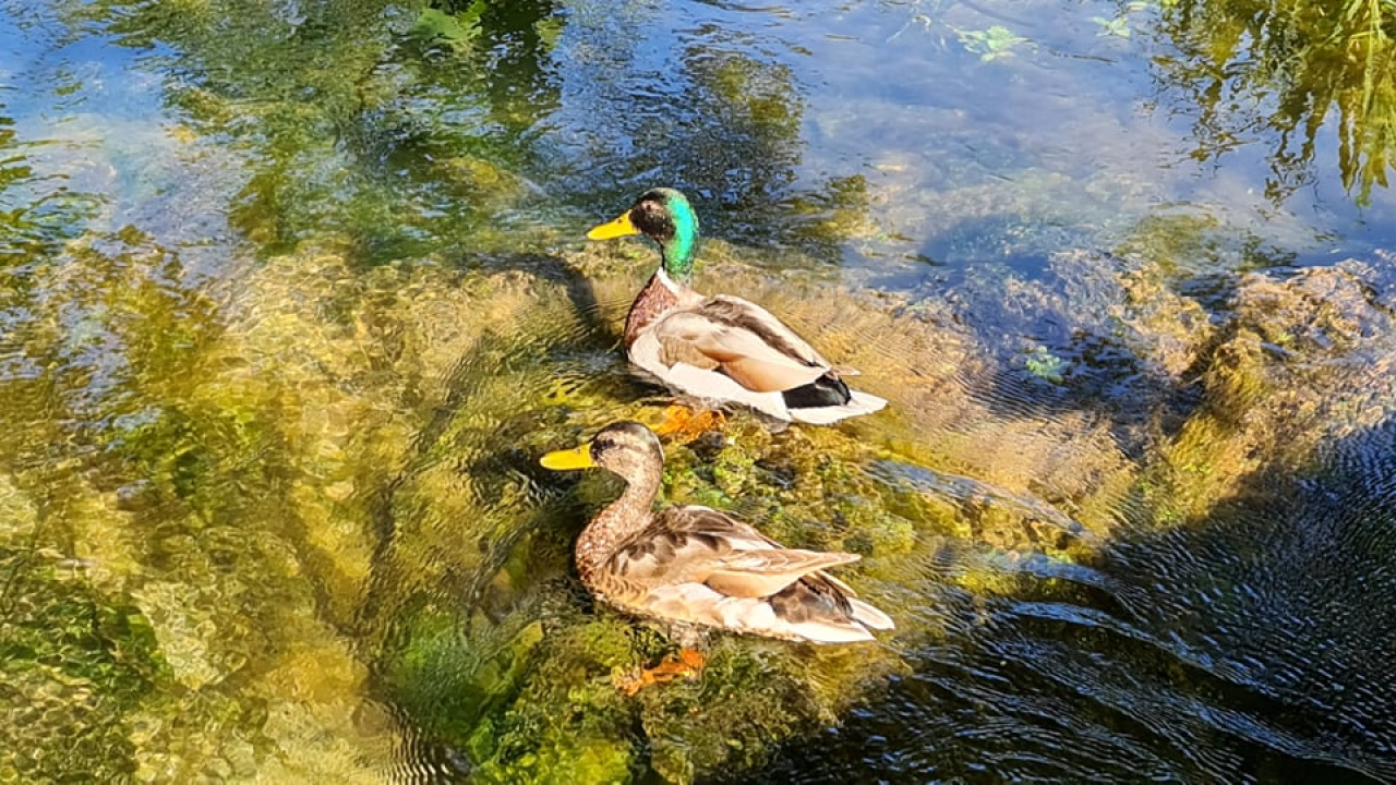 Proveli smo Majčin dan na Skradinskom buku uz ljepote Majke prirode