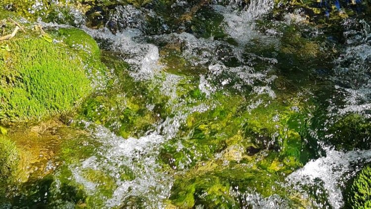 Proveli smo Majčin dan na Skradinskom buku uz ljepote Majke prirode