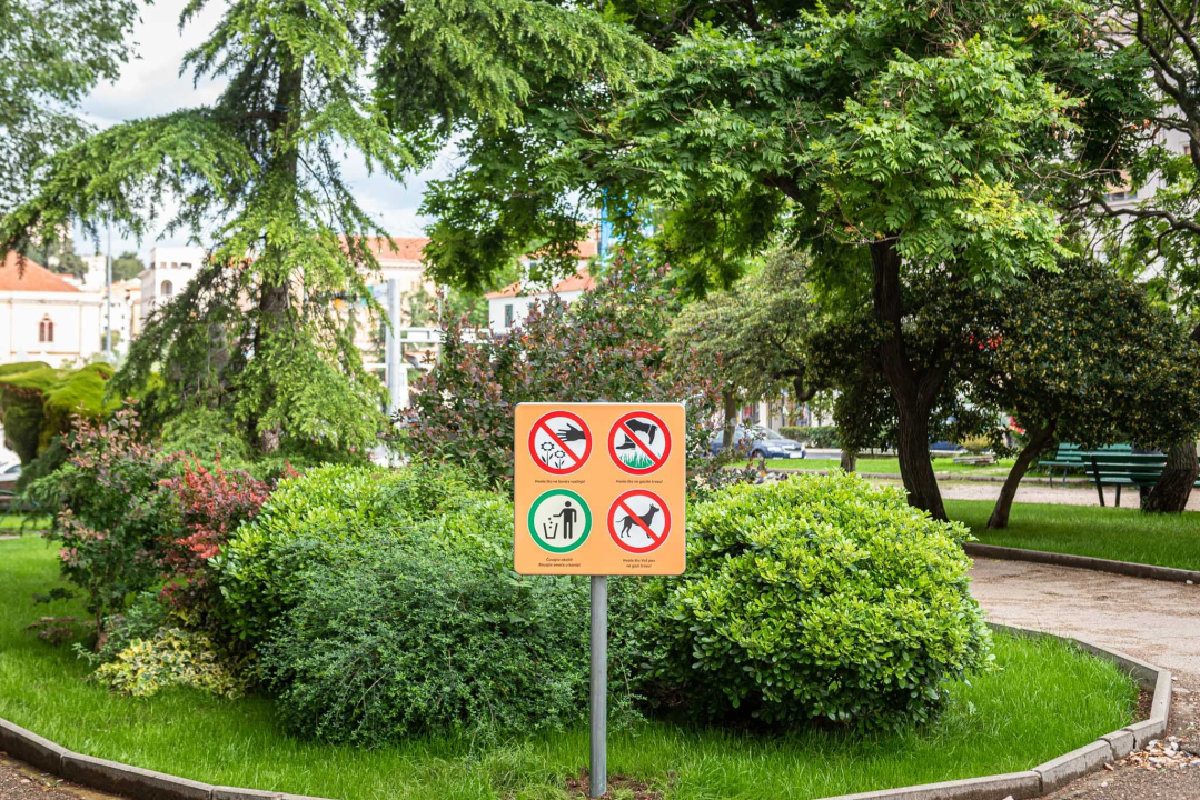 Zeleni grad u đardinu postavio edukativne table: Stabla na rivi i Poljani tretirali protiv nametnika 