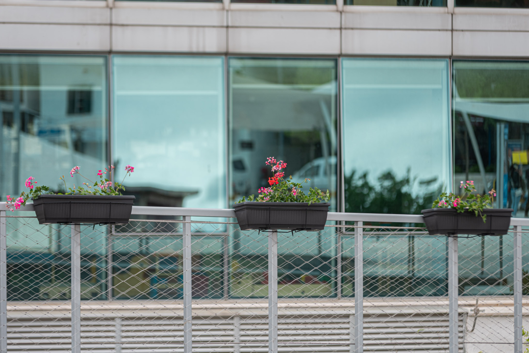 Zeleni grad u đardinu postavio edukativne table: Stabla na rivi i Poljani tretirali protiv nametnika 