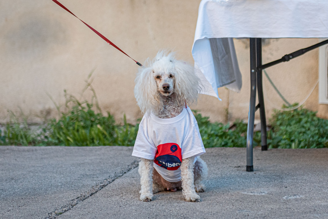 Tonči Restović: 'Čestitao sam Buriću na pobjedi i obećao da ćemo biti konstruktivna oporba' 
