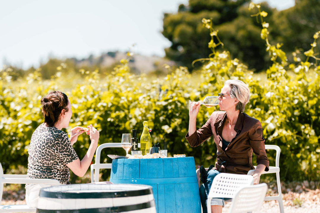 Taste Like Dalmatia: Još danas imate priliku kušati vrhunska vina, maslinova ulja i craft pive, a u subotu na šibenskoj rivi čekaju vas pidoče i debit!