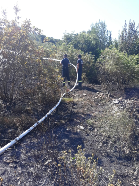 Spaljivanje travi u Brodarici otelo se kontroli: Vatra ipak nije stigla do kuća i borove šume