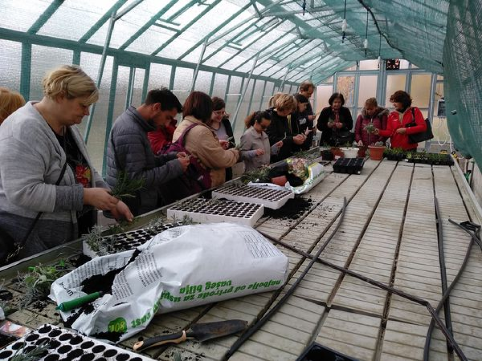 Iz udruge EMEDEA pozivaju nezaposlene da se prijave na besplatan program obrazovanja odraslih!