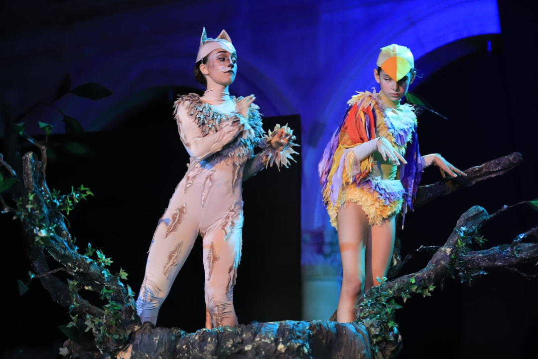 Balet na Ljetnoj: 'Smračilo mi se, ali na kraju je ispalo bolje nego išta'