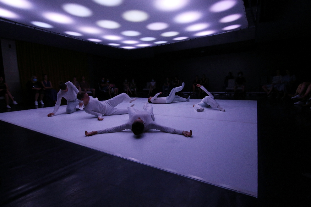 Deseti Šibenik Dance Festival zatvoren plesom u bjelini 