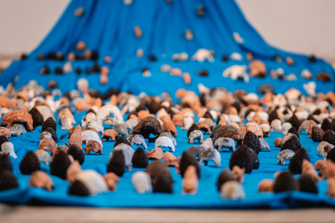 ‘Žabe’ okupirale sv. Krševan: Na zidu su psihodelične, na podu ih je stotine od terakote