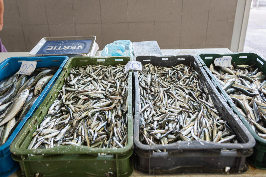 Na pijaci smo pronašli prve žižule, a na peškariji solidnu ponudu ribe: 'Što turisti znaju što je divlji, a što uzgojen brancin' 