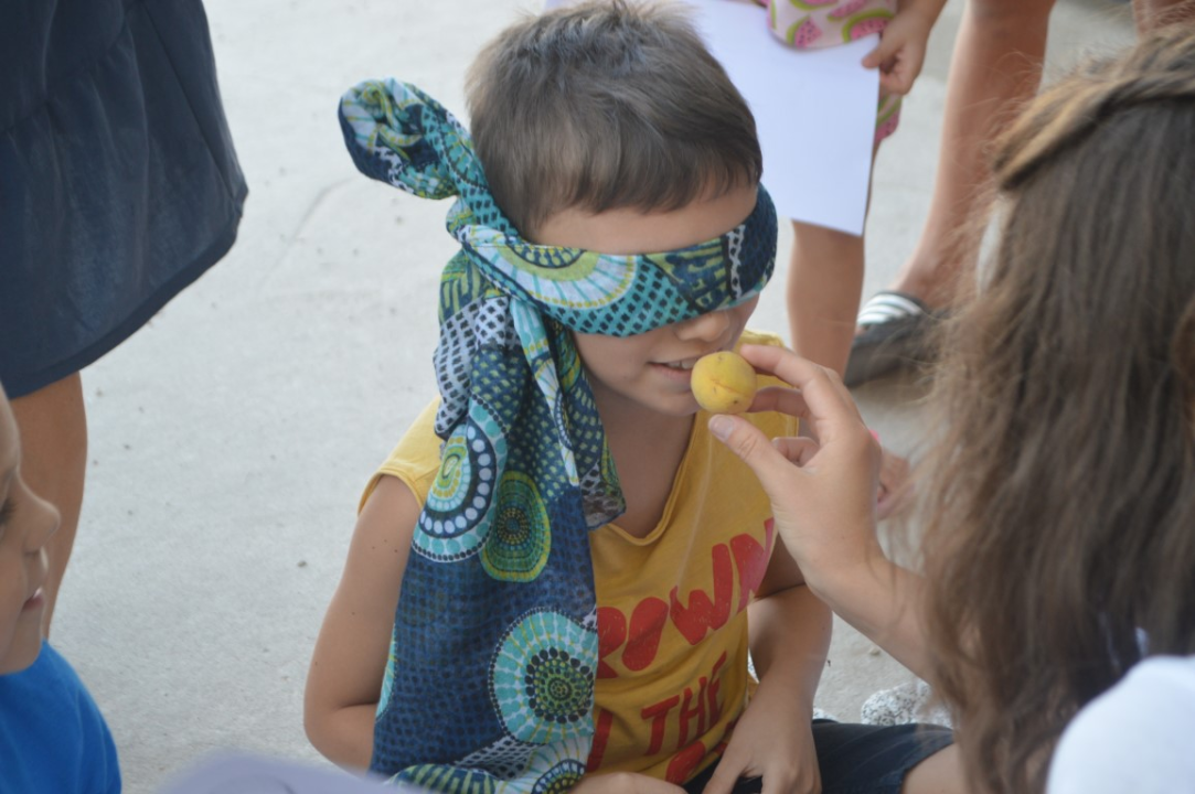 Dva kamiona smeća manje u Jadranu, edukacija i zabava: U Murteru održan vikend posvećen moru 