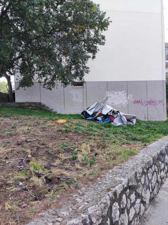 Stablo na Krvavicama platilo danak reklami? Ne znamo razlog, ali danas je posječeno