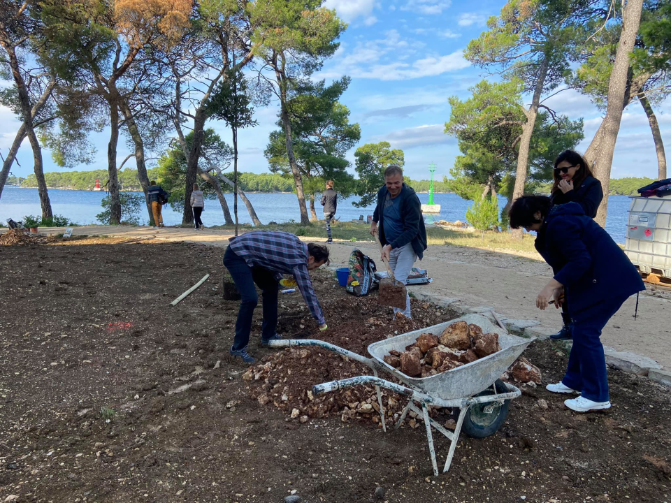 Šibenski volonteri s kolegama iz Europe zasadili mlada stabla u uvali Minerska u kanalu