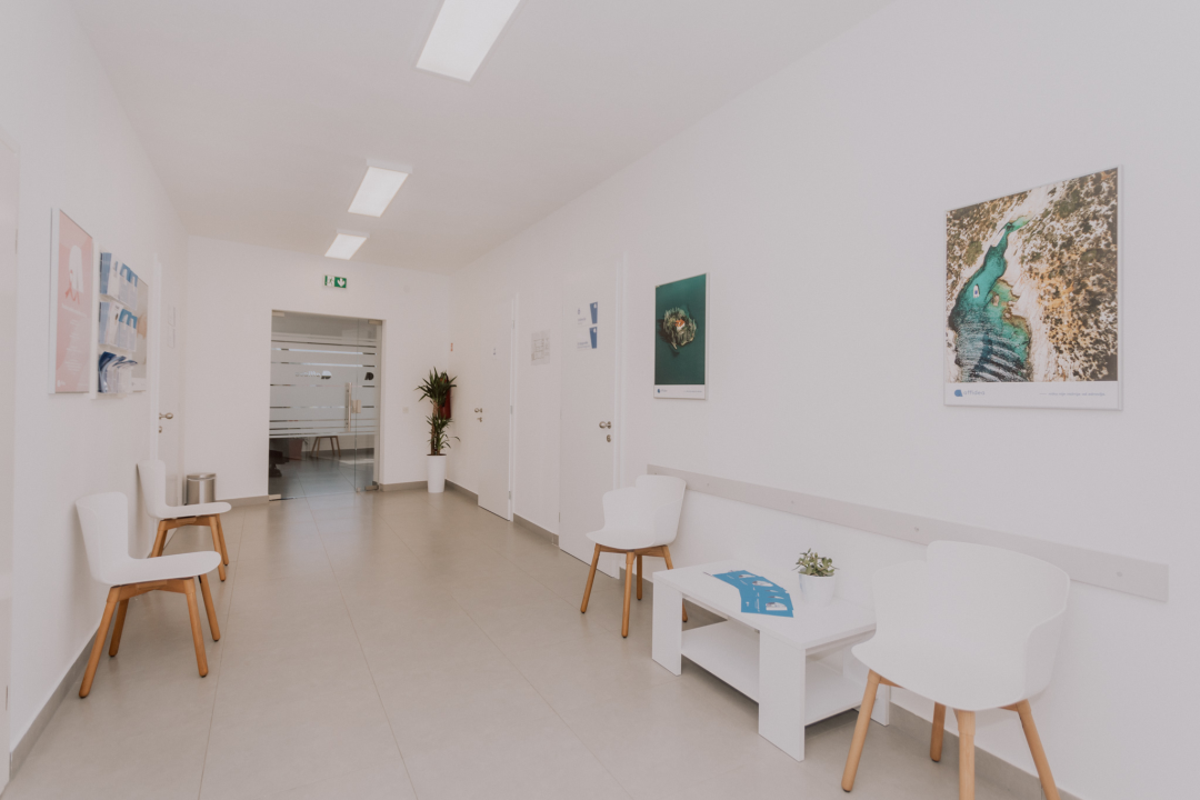 Zagrijte se vrhunskim sarmama u Antinom guštu! 