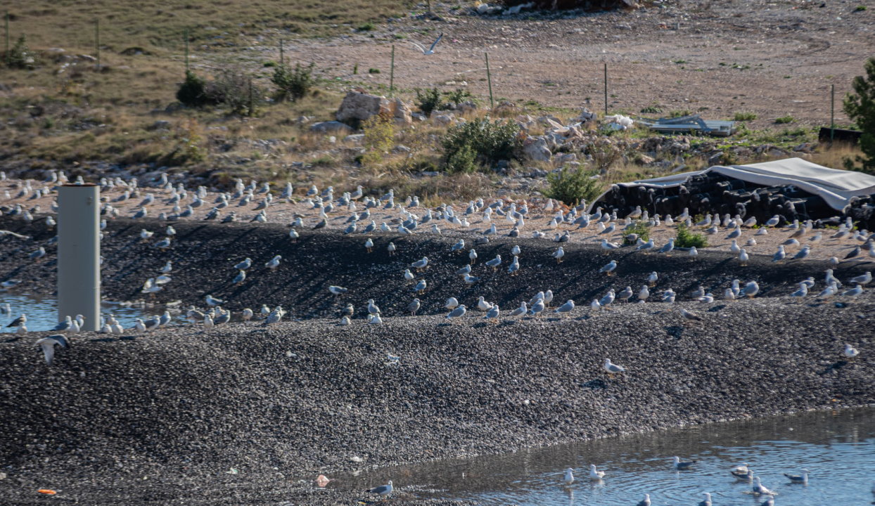Pogon za sortiranje otpada na Bikarcu u pogonu u prosincu: 'Riješili smo gospodarenje otpadom za sljedećih 30 godina' 
