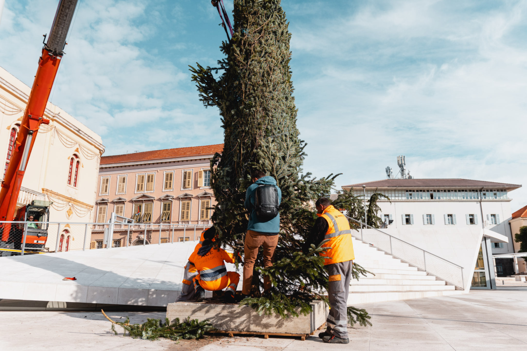 Okončan šibenski raketni program: Šibenik dobio pravi 7,5 metara visok božićni bor 