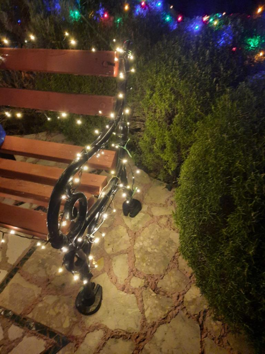 Krenula je božićna bajka: 20 tisuća lampica obasjalo je vrt obitelji Vlahov 