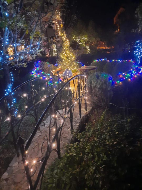 Krenula je božićna bajka: 20 tisuća lampica obasjalo je vrt obitelji Vlahov 