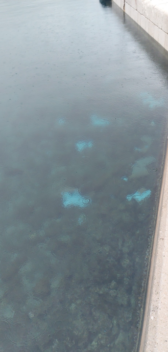 Evo kako Kaprije izgleda nakon nevremena: 'To je zbog gomilanja smeća, nitko od zaduženih ne vodi računa o tome' 