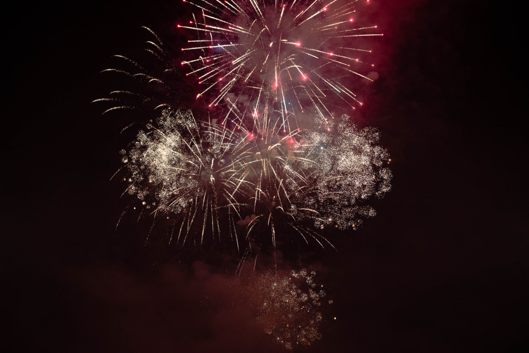 Đardin je i za doček Nove godine bio pun, a vatromet je dodatno začinio stvar