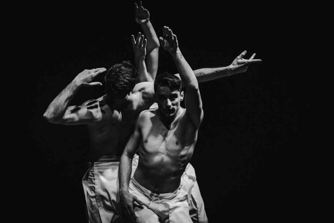 'Boys Boys Boys' sinoć u Arsenu: Šibenčanke uživale u ekspresivnom muškom plesu 