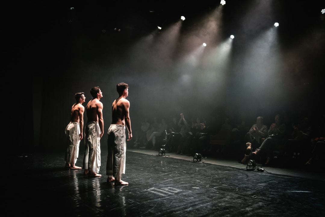 'Boys Boys Boys' sinoć u Arsenu: Šibenčanke uživale u ekspresivnom muškom plesu 