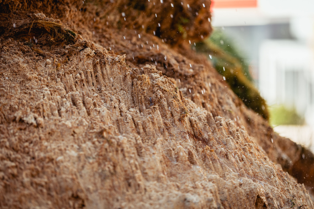 Kako je sedra narasla više od tri metra: Fotografije posljednjih šest godina pokazuju zašto joj treba spas