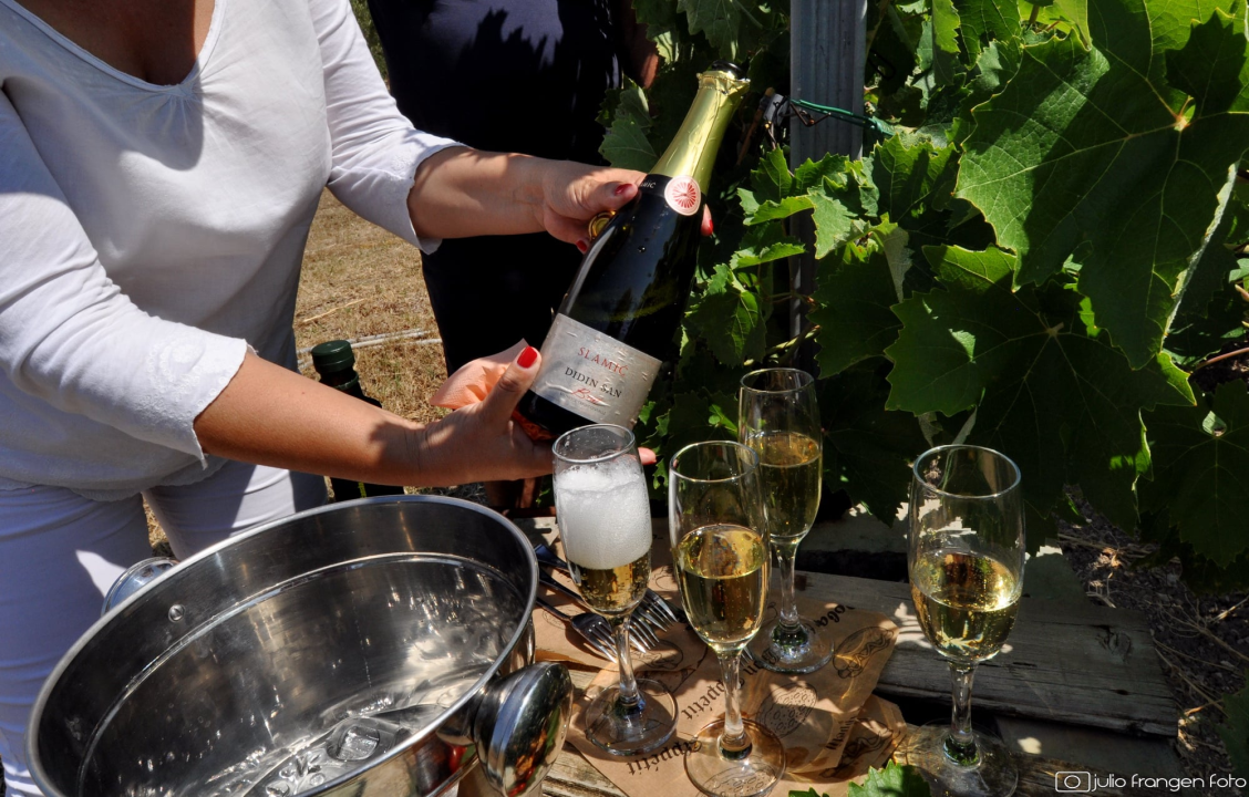 Iskoristite priliku za besplatan prijevoz mini busom u petak na Danima otvorenih kušaonica!