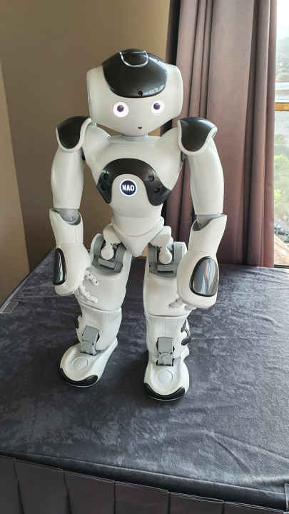 Pomoć djeci: Prvi humanoidni roboti stižu u Šibenik