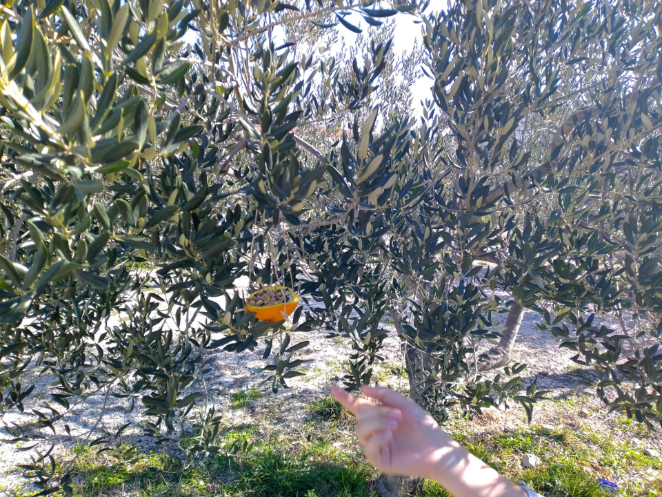 Završena provedba aktivnosti projekta 'ZaVRTimo krug promjena'! 