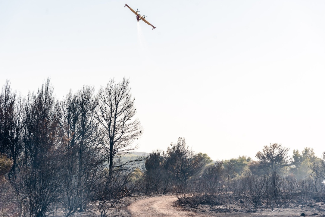 U tijeku sanacija požarišta u Vrpolju: Na terenu 60 vatrogasaca i 21 vozilo