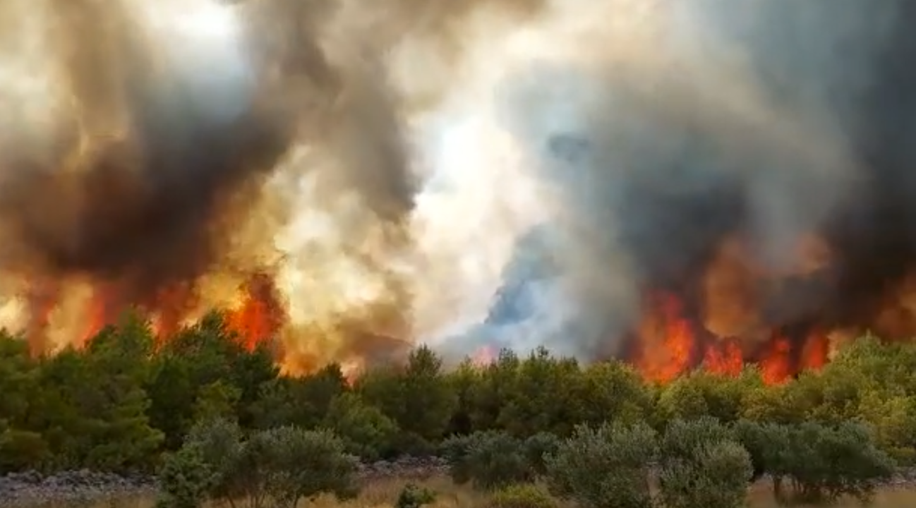 U tijeku sanacija požarišta u Vrpolju: Na terenu 60 vatrogasaca i 21 vozilo