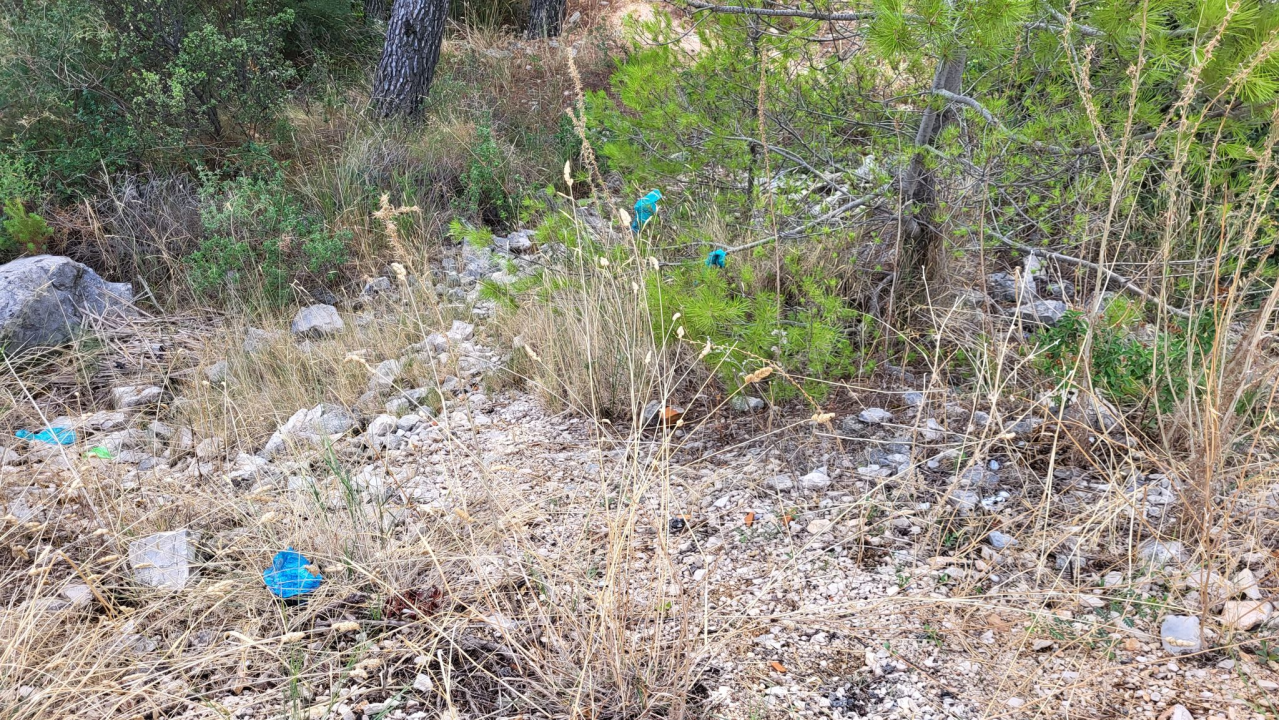 Sve više vlasnika pasa u Šibeniku usvaja novi trend: Dvostruko onečišćenje ulica i okoliša