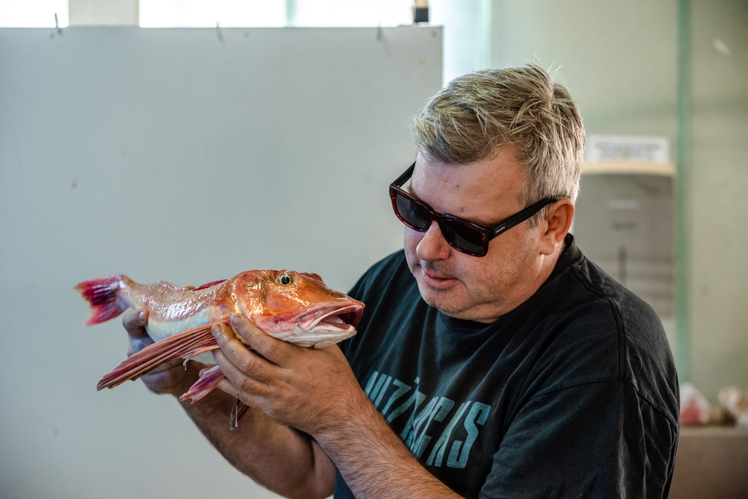 Kokot i moli samci s parangala odlična su ideja za ručak u petak: Jedini problem je što nisu baš jeftini 