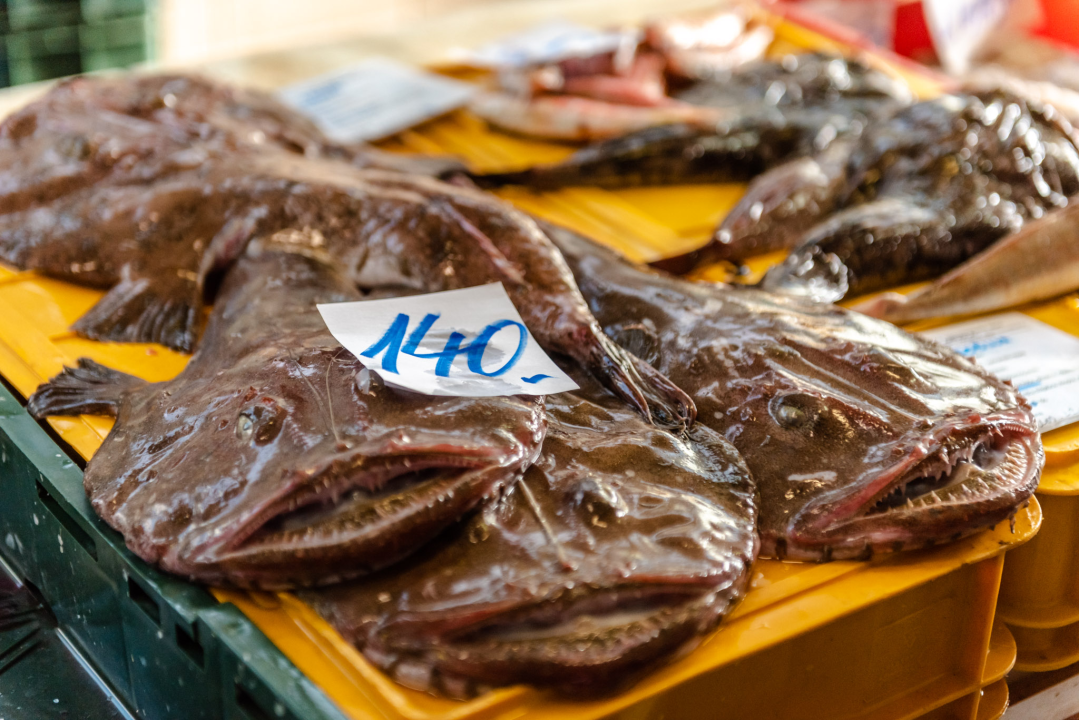 Kokot i moli samci s parangala odlična su ideja za ručak u petak: Jedini problem je što nisu baš jeftini 