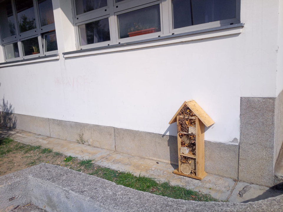 Učenici napravili hotel za pčele: 'Smješten je u dvorište škole, a djeca će pratiti rezervacije i popunjenost' 