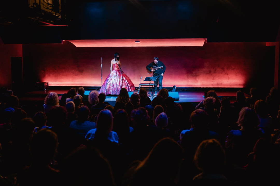 Vrećin glas, gitara i lutnja Edina Karamazova oduševili sinoć Šibenčane u Arsenu