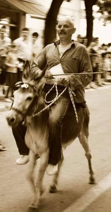 Paško je ljubav prema magarcima pretvorio u obiteljski posao: 'Kćer će mi biti dostojna zamjena na utrkama'