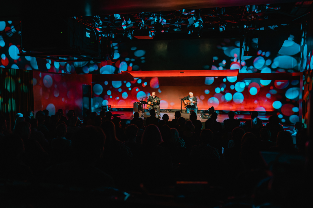 Arsenov prijatelj Zoran Predin u Kući umjetnosti Arsen oduševio glazbom i humorom 