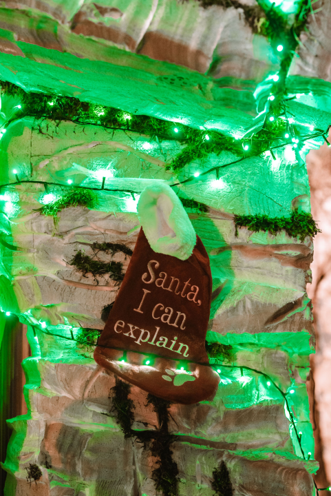 Rockfellersi koncertom u Parkiću zaključili Adventuru 