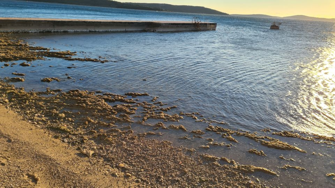 Prizor koji ne viđamo svaki dan: Velika oseka na Jadriji