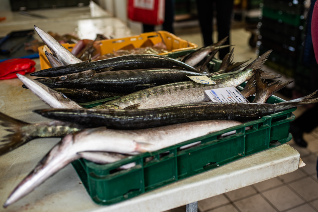 Jutros se na šibenskoj pijaci jasno vidjelo da je petak: Peškarija puna, na zelenom dijelu pustoš 