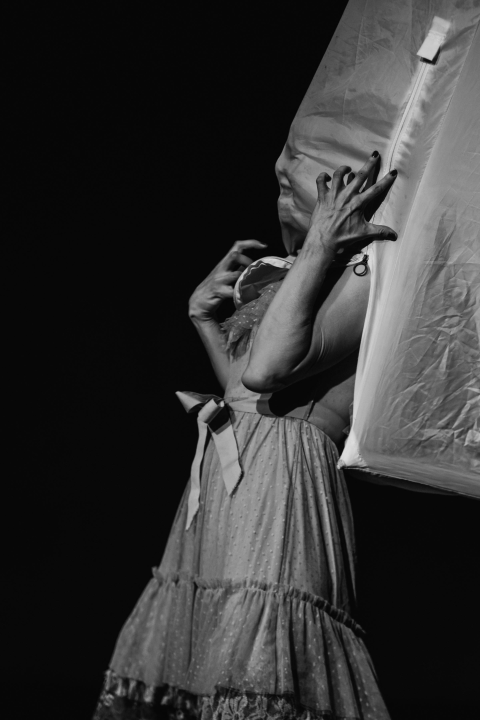 Neverbalna fantazija u Arsenu u maniri novog cirkusa: Usamljena žena protiv masovnog zla