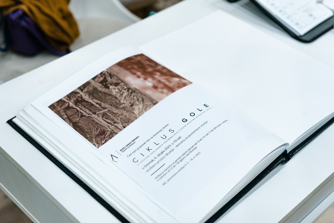 U Muzeju otvorena zanimljiva izložba Radoslava Tadića