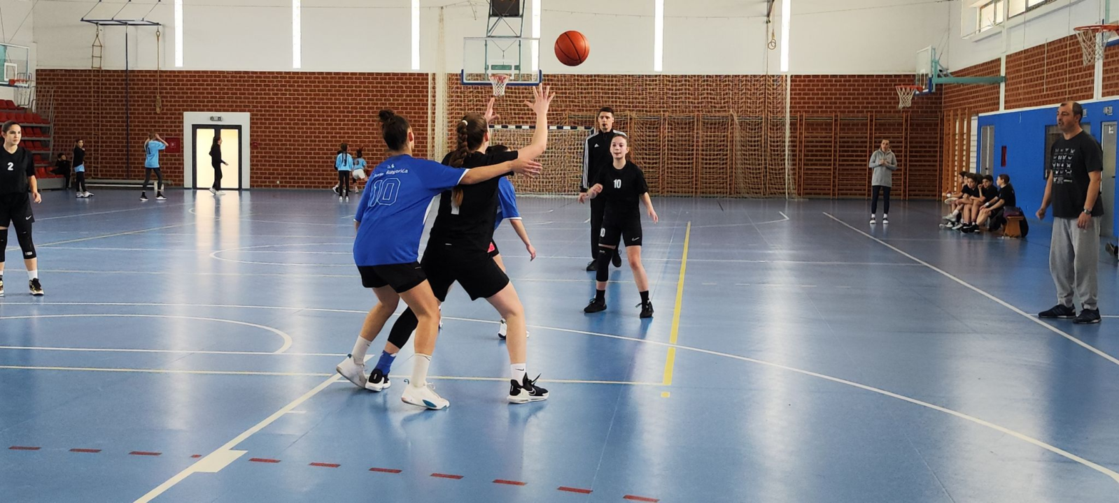 Košarkašice OŠ Meterize i košarkaši OŠ Antuna Mihanovića-Petropoljskog najbolji su u županiji 