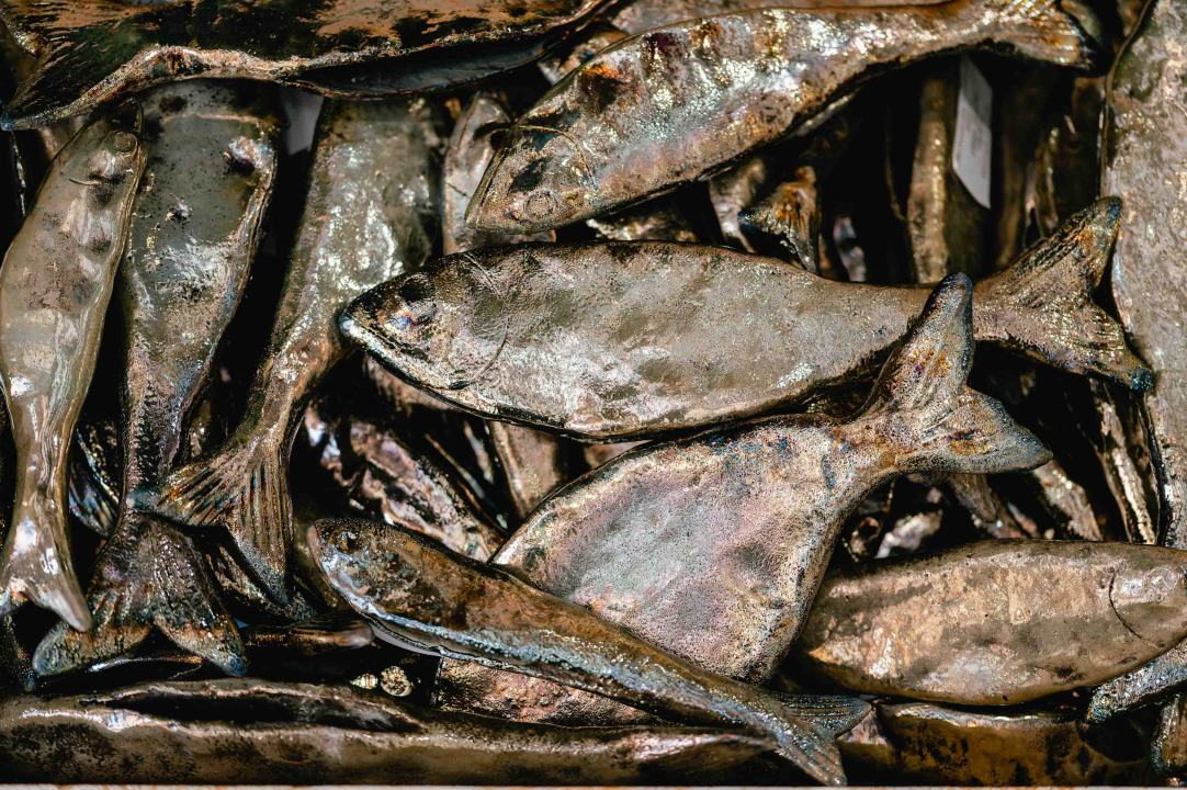 Proljeće u Galeriji Juraj Dalmatinac donosi slikarsku poetsku fantastiku po sniženoj cijeni