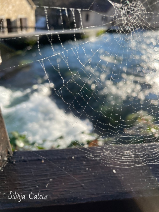 Krka u fotoobjektivu djelatnika: Virtualna izložba u povodu Dana planeta Zemlje