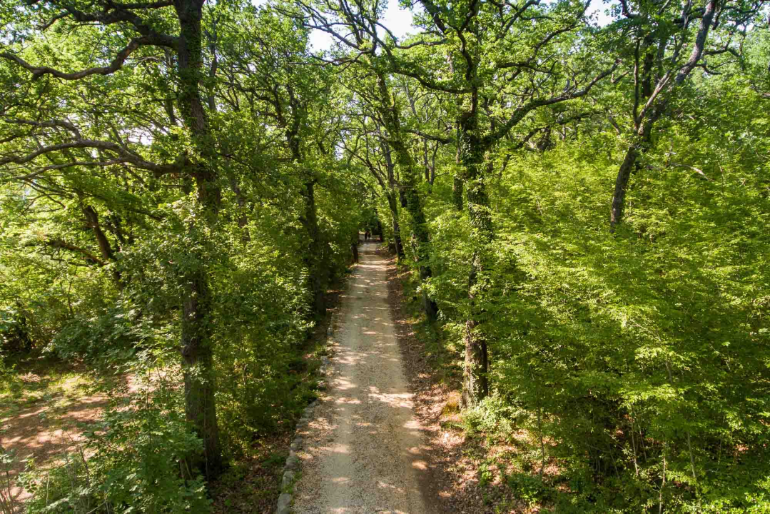Posjeti NP &quot;Krka&quot; na Praznik rada, preuzmi svoju sadnicu i posadi je za budućnost!