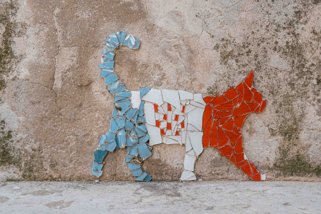 Mačke nakon šibenskih ulica osvojile i fasade u starom gradu: Autora ovog 'street arta' još uvijek ne znamo, ali sviđa nam se